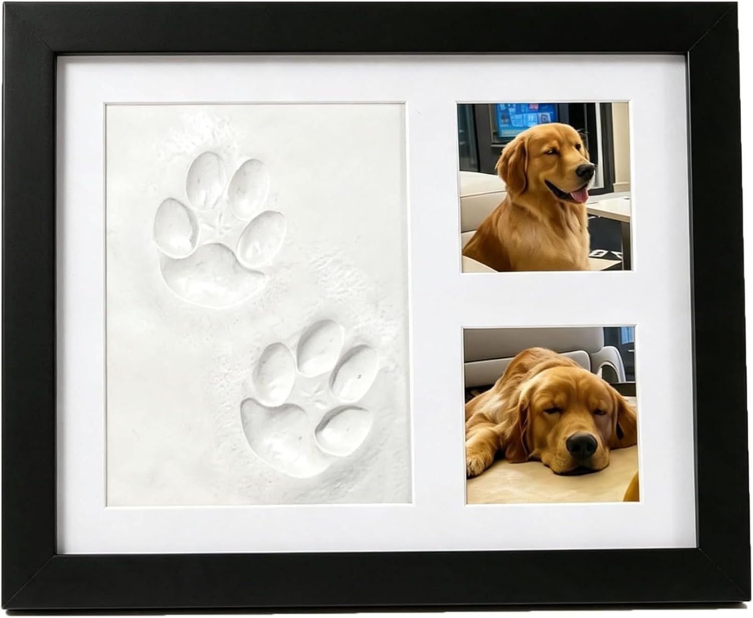 Photographic Memory - Kit Conmemorativo de Huellas de Patas